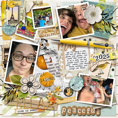 Feelings Journal: May 2025