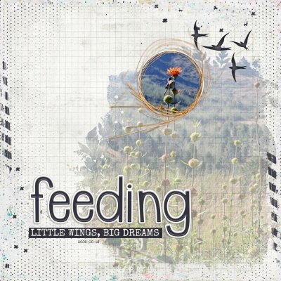 2026-05-17_Feeding