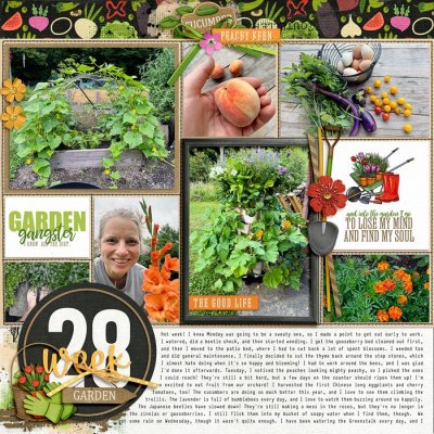 2024 Garden notes week 28 left