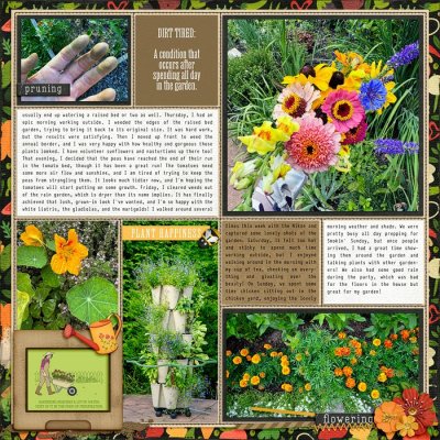 2024 Garden Notes week 28 right