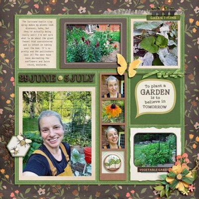 2026 garden notes week 27 right