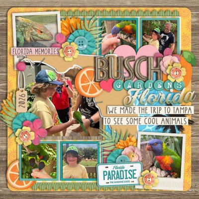 Busch Gardens