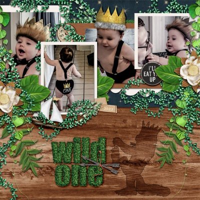 Wild One