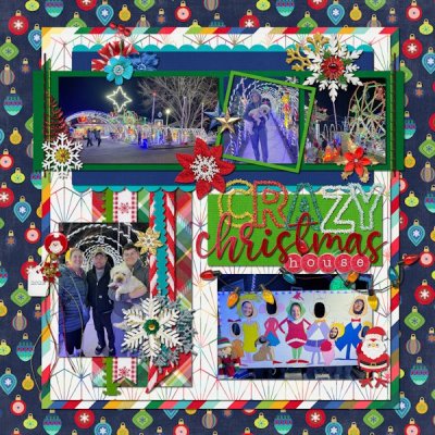 Crazy Christmas House