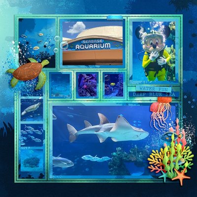 Seabase Aquarium