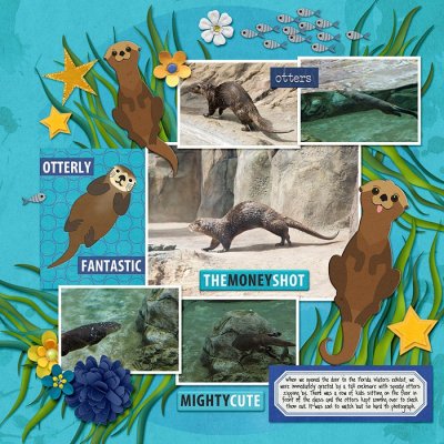 Mote SEA - Florida Waters - otters