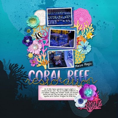 Mote Sea - coral & jellyfish spread