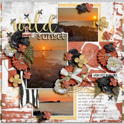 Wild Sunset
