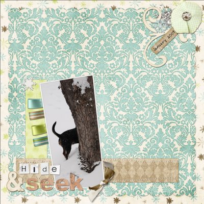 Hide N Seek