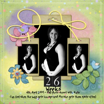 26 weeks