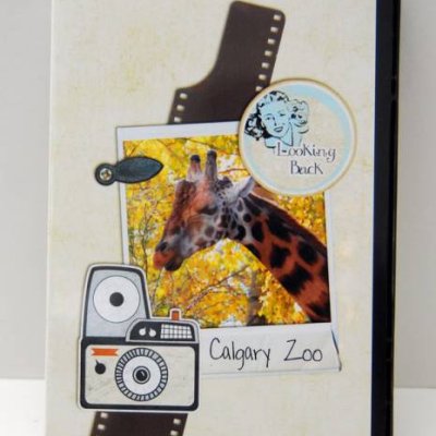 Video Case Insert