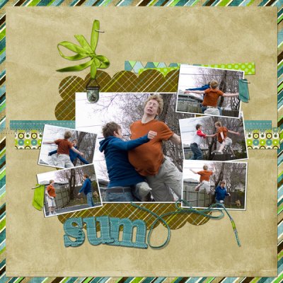 sumo