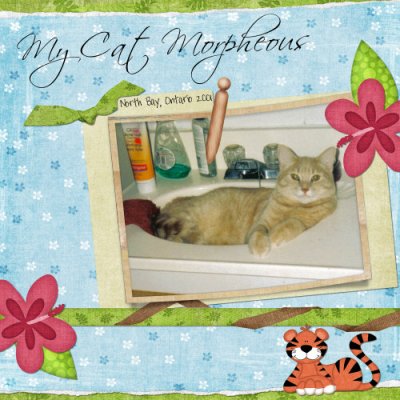 My Cat Morpheous