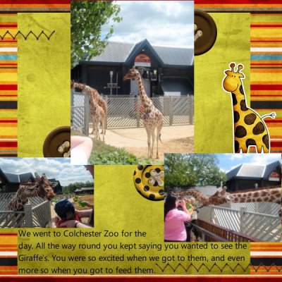 Giraffes