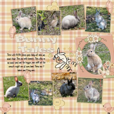 Bunny Tales