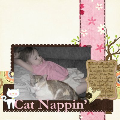 cat-nap