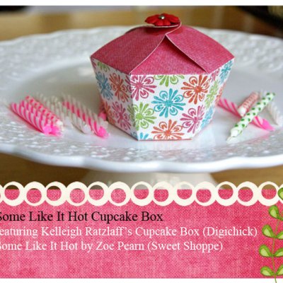 Hybrid Cupcake Box