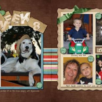 Week 8 2009