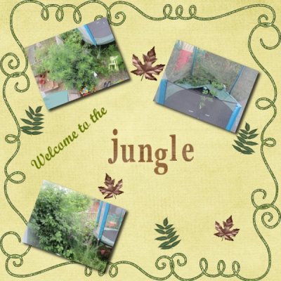 Welcome to the jungle