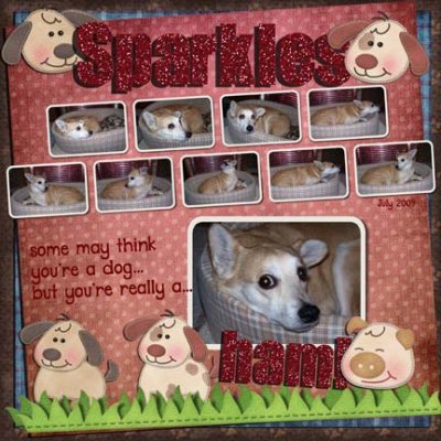 Sparkles...some may think you're a dog...