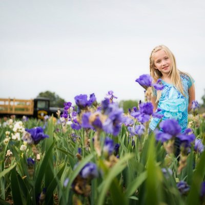 Elyse Iris Garden