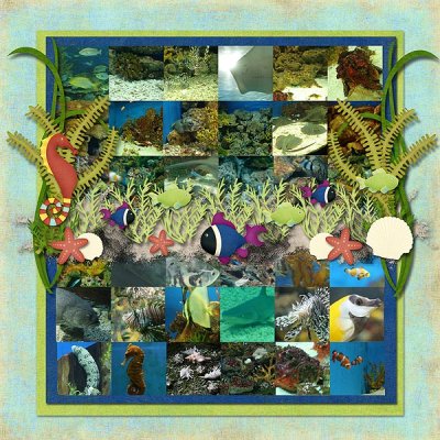 Ocean Park - Sea Creatures