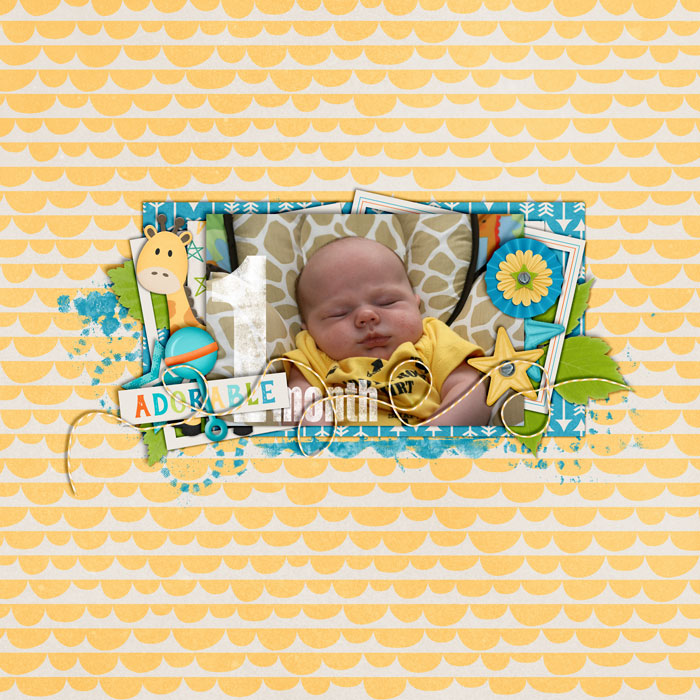 1 Month