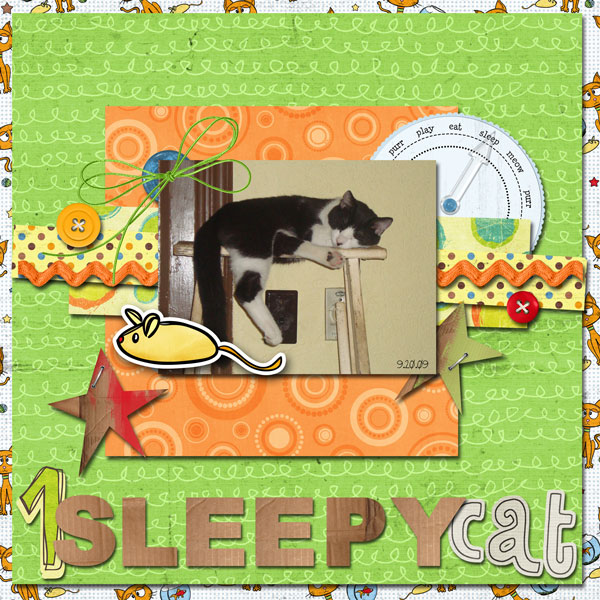 1 sleepy cat