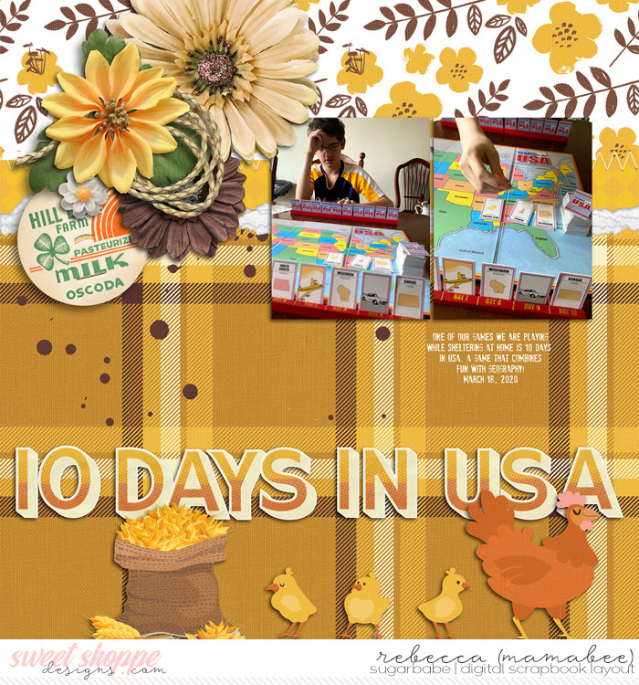 10 days in usa game