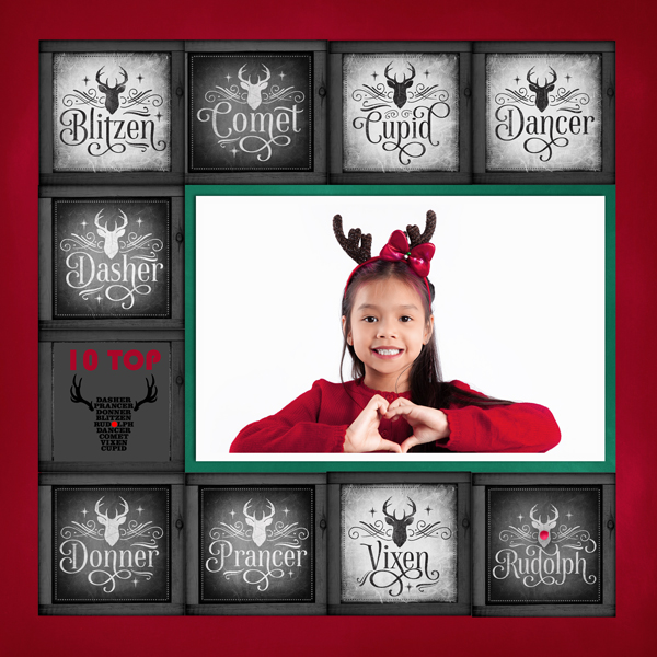 10 Top Reindeer
