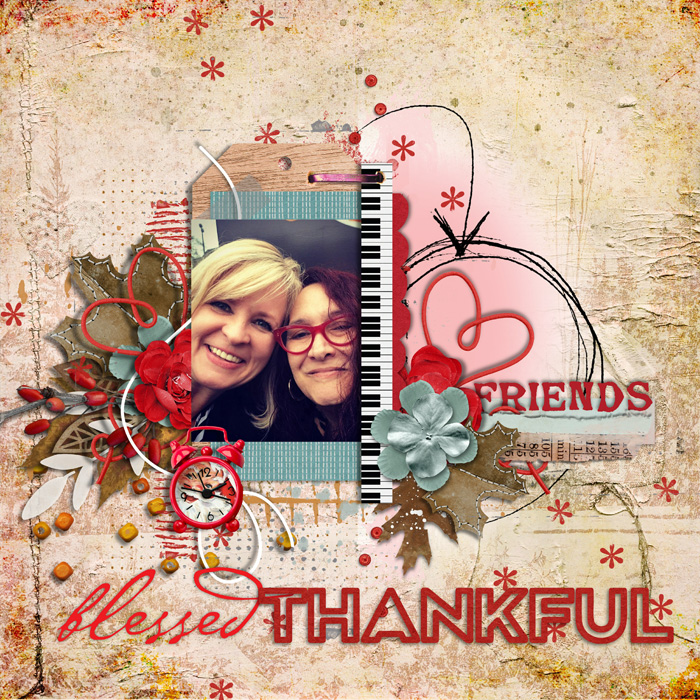 #11. Wild Card- 20Days-#4 Friends