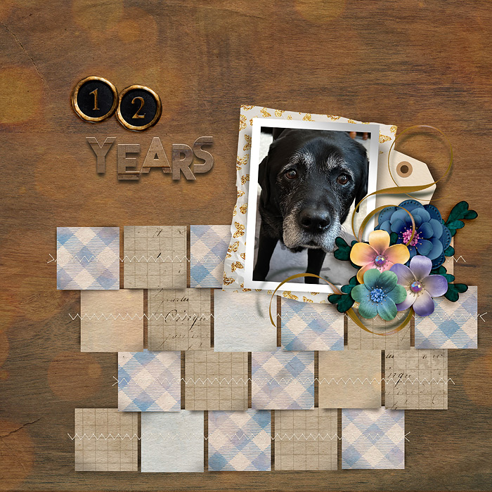 12 Years
