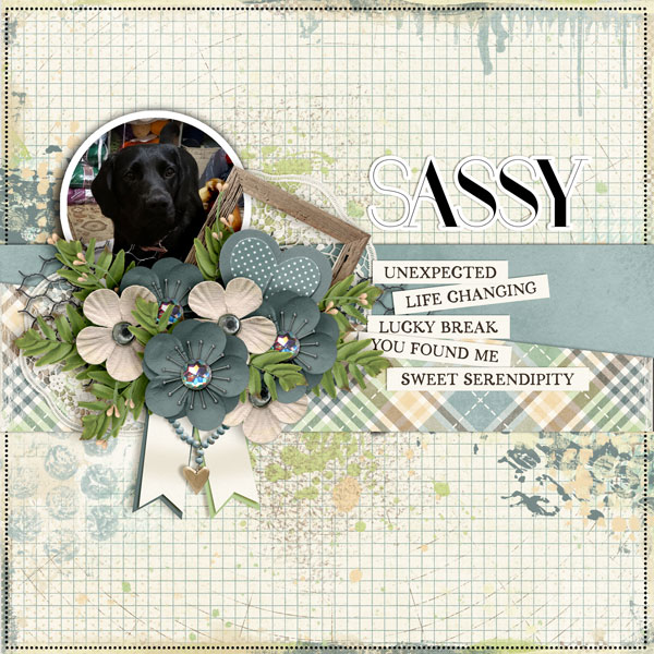 12B_Lucky You Found Me