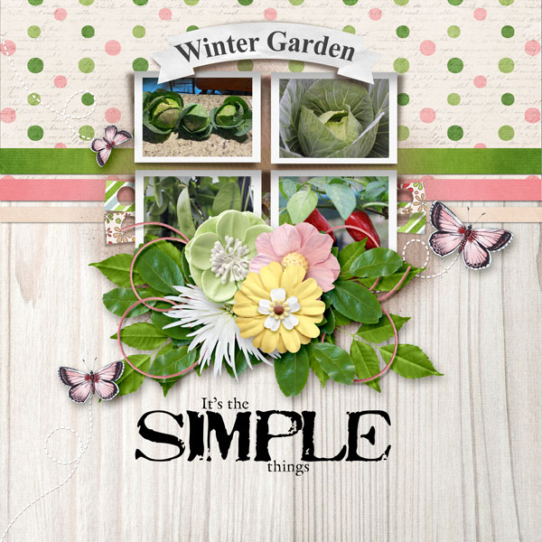 14A_Winter Garden
