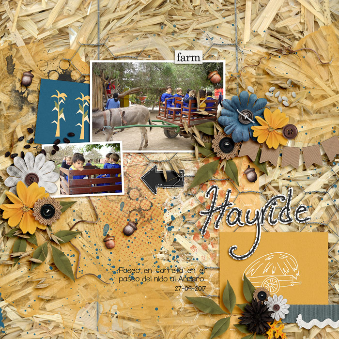 #15 hayrides