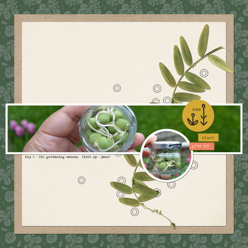 15-Seeds---Panoramic-Photo.jpg