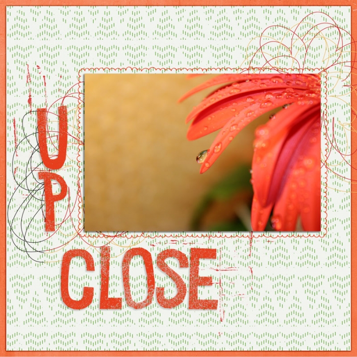#15 UP CLOSE/FROM AFAR