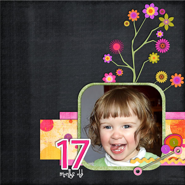 17 months old