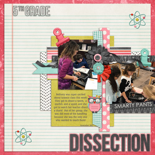 #18 5th Grade Dissection