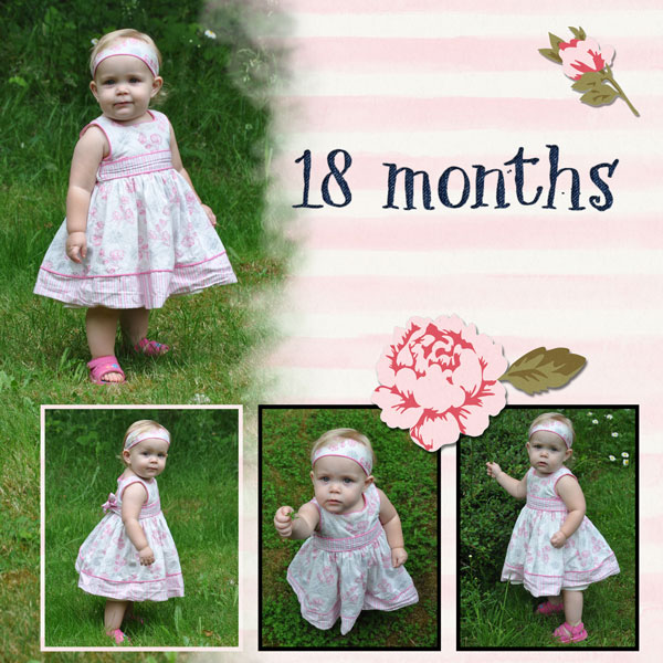 18 Months