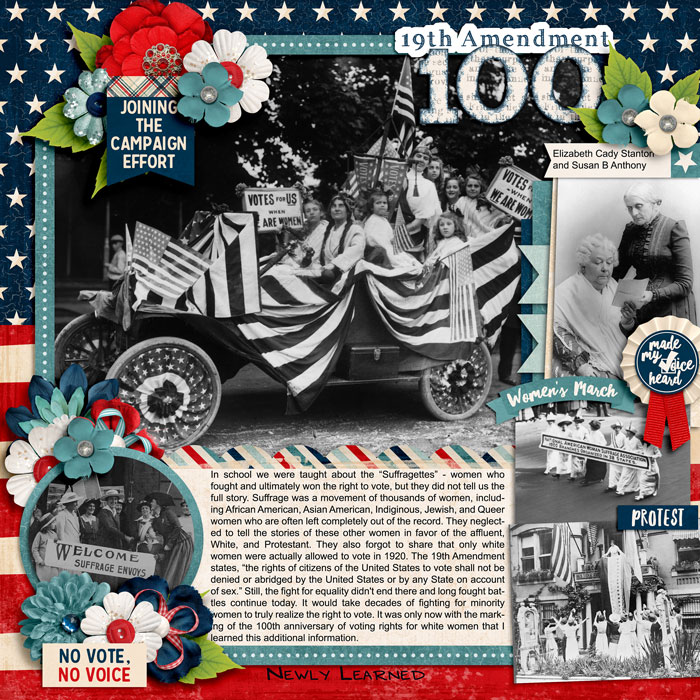 19th Amendment at 100