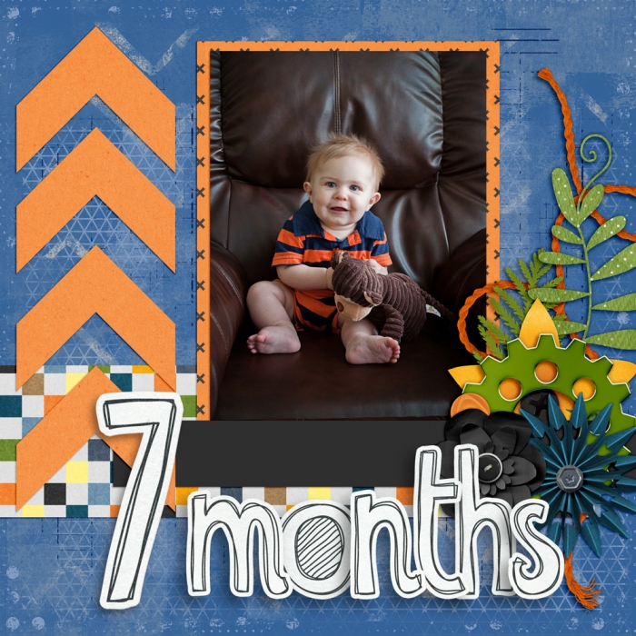 #2 - Product 7 months!