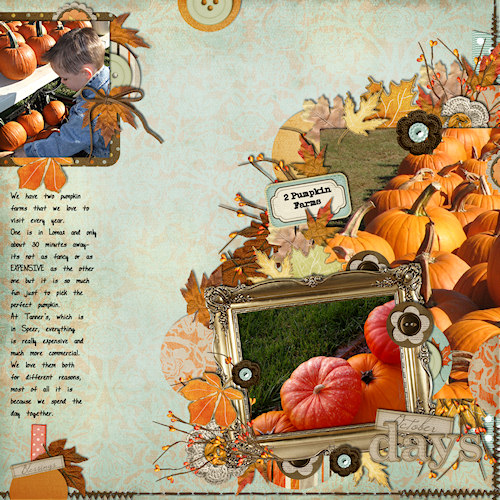 2 Pumpkin Patches