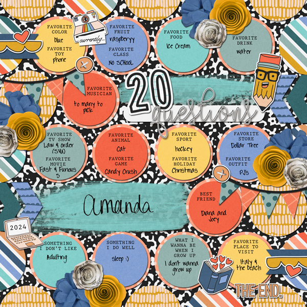 20 Questions - 2024
