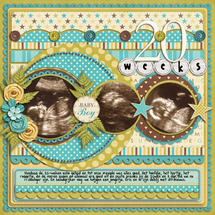 20 weeks
