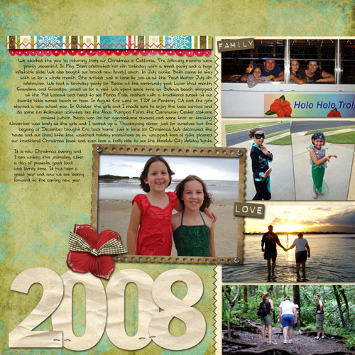 2008 in review