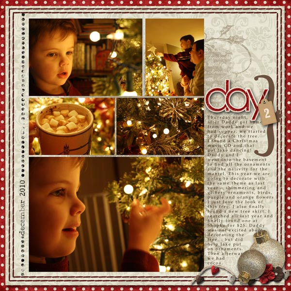 2010_dec daily day2