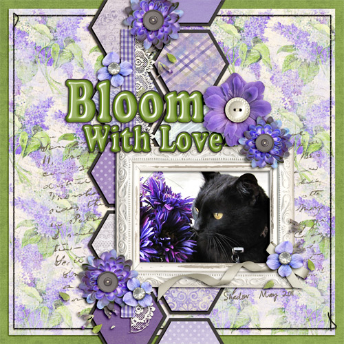 2011 05 2012 Aug Challenge 2 ScrapliftLynnette