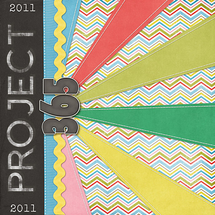 2011 p365 Cover - Front