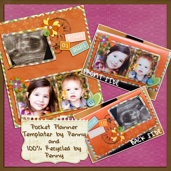 2011 Pocket Planner